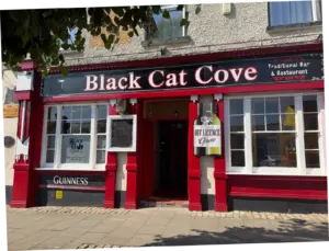 Blackcat2