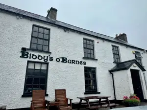 A white-painted building with black trim displays the sign "Biddy's o'Barnes." Two wooden benches sit outside, a Guinness pint glass sign hangs by the entrance, and pink flowers are placed near the door on a rainy day.
