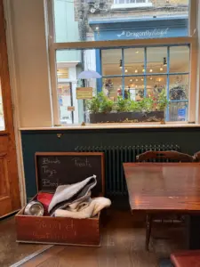 A cozy café interior with a wooden table and chairs beside a window. A wooden chest labeled "Board Games" contains bowls, toys, and blankets for pets. Outside, a shop named "Dragonfly Lifestyle" is visible through the window.