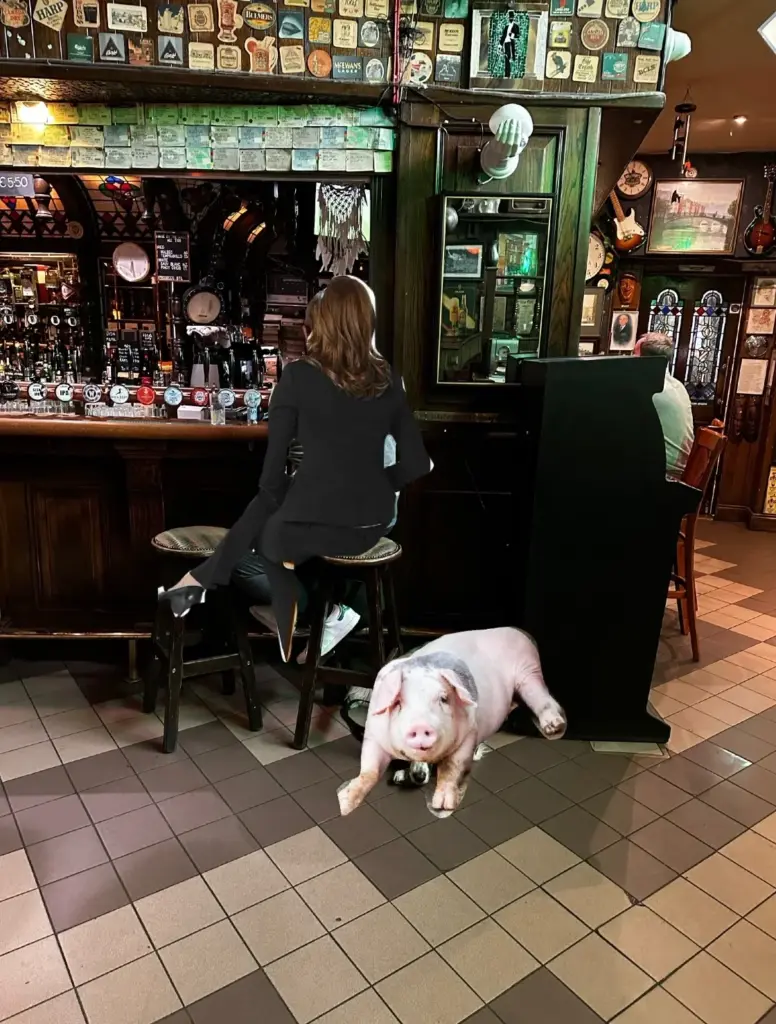 A person sits on a barstool at a pub counter, facing away from the camera. A large pink pig lies on the tiled floor nearby. The pub is decorated with various memorabilia and drink taps.