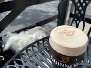 A Guinness pint glass sits on a black metal outdoor table, with a fluffy white dog resting in the background near a black fence, creating a cozy pub-like atmosphere.